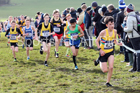 Boys under-13s 2019 British Athletics Inter Counties Cross Country, Prestwood Hall, Loughborough. Photo:  David T. Hewitson/Sports for All Pics